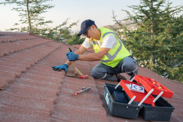 Roof Coating Services in Timberlane, IL